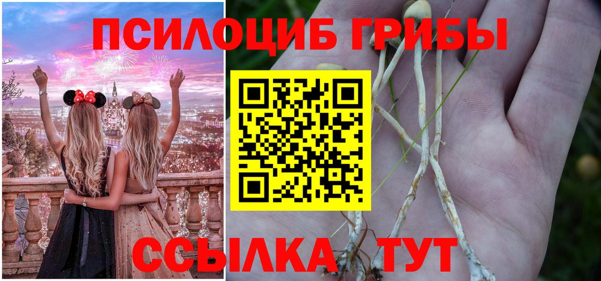 Галлюциногенные грибы GOLDEN TEACHER Петропавловск-Камчатский